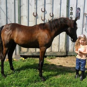 Meet your Posher, Joan